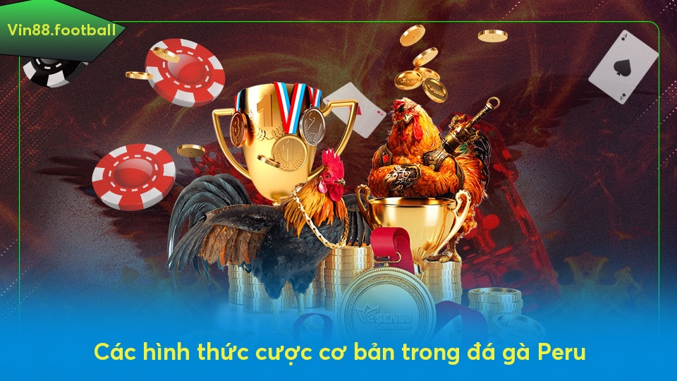 Các hình thức cược cơ bản trong đá gà Peru